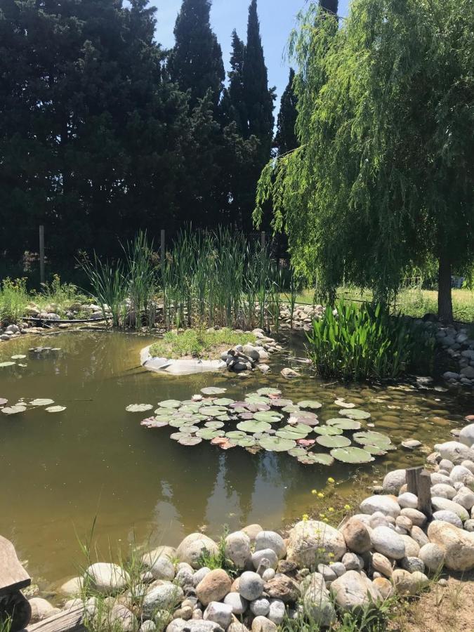 La Massoterie Gite 1 Theza Buitenkant foto